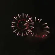 ゆりんの画像