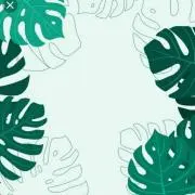 ☆ペパーミント☆の画像
