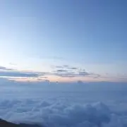 Miniの画像