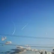 Dプリオの画像