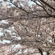 taroの画像