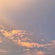 xmxmxmの画像