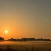 檸檬の画像