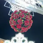 CherryBlossom