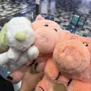 たく