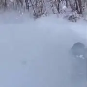 りゅんの画像