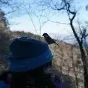 トコトコの画像