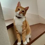 れあママ