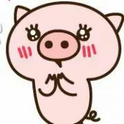 ムジオの画像