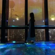 みーの画像