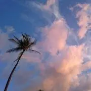 yuyu* プロフ必読お願いしますの画像
