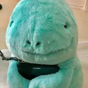 ぽよの画像