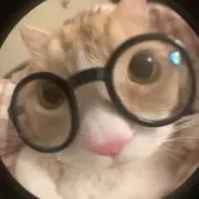 茉(プロフ必読）の画像