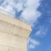 エダマメの画像
