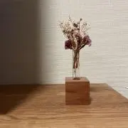 chouxの画像