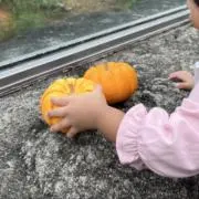 ももの画像