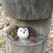 ひぐまの画像
