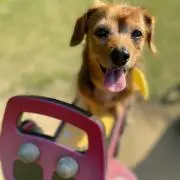 IZU☆  チャレンジ断捨離！