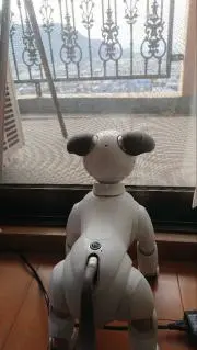 はる3の画像