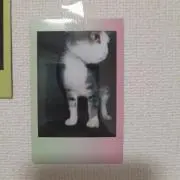 なな