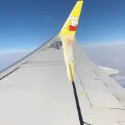 WHの画像