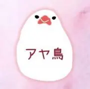 アヤ鳥の画像