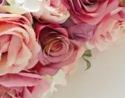 さばかんの画像