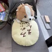 田中の画像