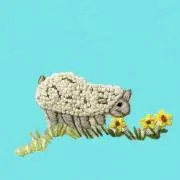 sheep ※プロフ必読の画像