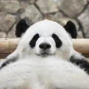 きたしの画像