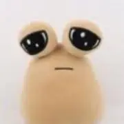 タロヘイの画像