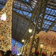 はるの画像