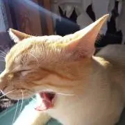 和地明彦