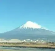ウイポの画像