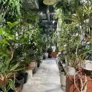 youの画像