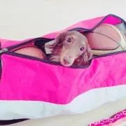 にっちゃん