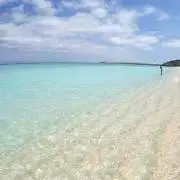 Bebeの画像