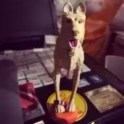 つるの画像