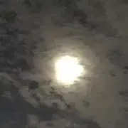 月野の画像