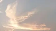 ゆうとの画像