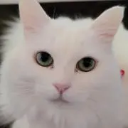 ハル☆プロフィール必見☆の画像