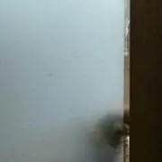 波杏蘭々
