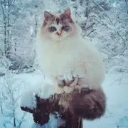 たのの画像