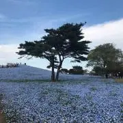 yayaの画像