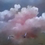 KIKIの画像