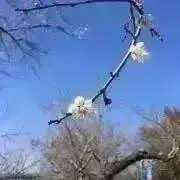 Nakaの画像