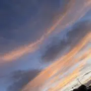 ぬんの画像
