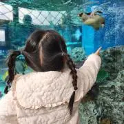 まりりとるの画像