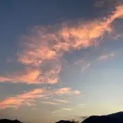 そららの画像
