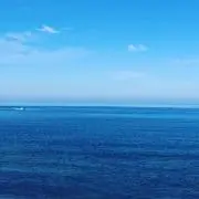 susumu
